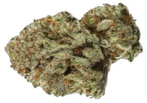 Image of cannabis strain