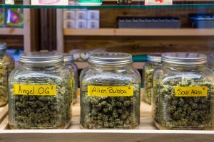 Beautiful buds at the Green Joint Grand Junction dispensary