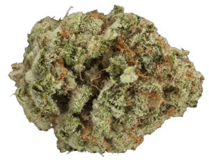 Image of cannabis strain