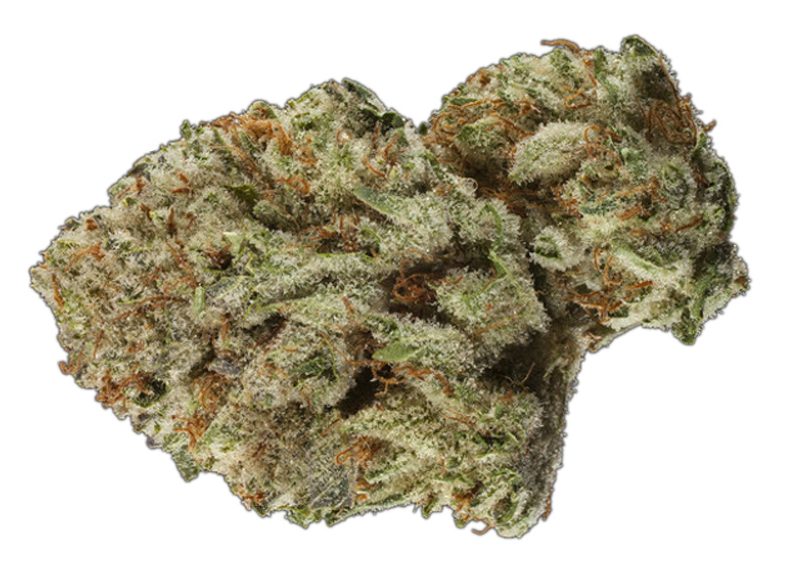 OG Kush (1) The Green Joint